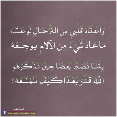 c885ba8a92eb4ed's profile picture. 