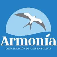 Armonia - Bolivia(@armonia_bolivia) 's Twitter Profile Photo