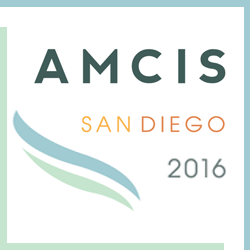 AMCIS2016's profile picture. 
