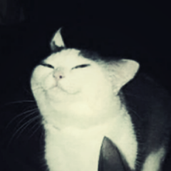 srAlomax's profile picture. ??