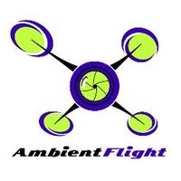 Ambient Flight (@ambientflight) 's Twitter Profile