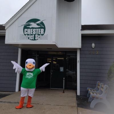 SSRSBGulliver's profile picture. 