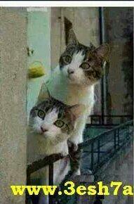 8PdxVcixZXf8vSC's profile picture. 