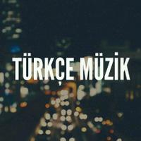 Türkçe Müzik (@trmusicanaliz) Twitter profile photo