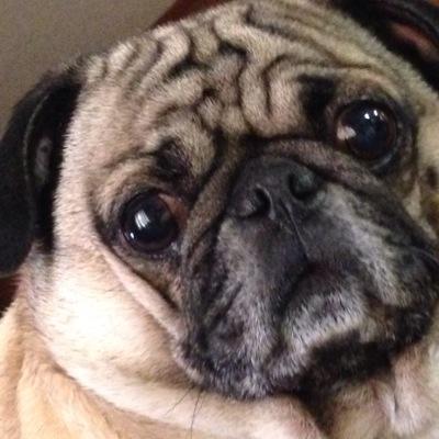 12lhoang's profile picture. 