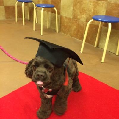 AnthonyGilfilla's profile picture. 