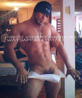 gallotapado1's profile picture. 