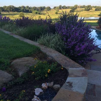 shellyehunt's profile picture. 