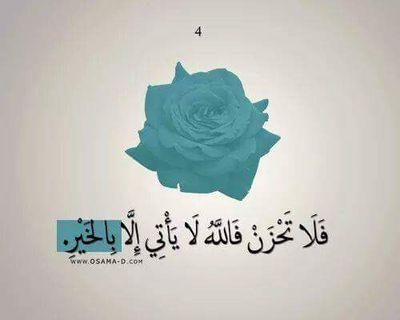 HtkbYlSV7vmqWd8's profile picture. 