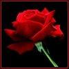 It is love, not reason, that is stronger than death.