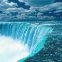 eticarotosqumma's profile picture. The Net interprets censorship as damage... and routes around it.