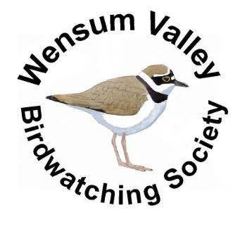 Wensum Valley Birdwatching Society (WVBS) is an open, active and friendly Norfolk group with regular field trips and monthly meetings held at Great Witchingham.