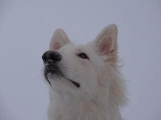 lenska777's profile picture. 