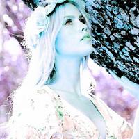 Team Hope (@vampireelle) 's Twitter Profile