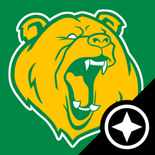Baylor Bears Scout