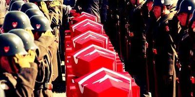 vatansever250's profile picture. 