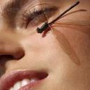 sevenea's profile picture. Noise is the most impertinent of all forms of interruption. It is not only an interruption, but is also a disruption of thought.