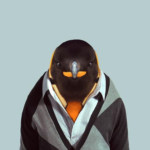joshgretz's profile picture. Software Dev, IOT Enthusiast, Geek