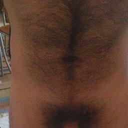 bsxavellino's profile picture. 