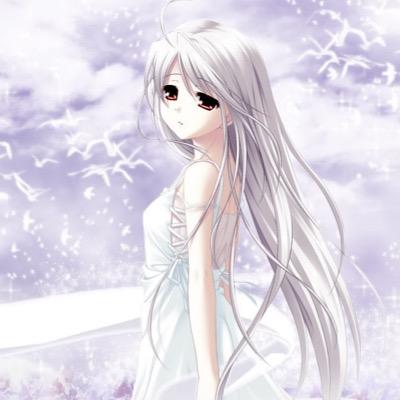 Magic Tree House Anime Where To Watch