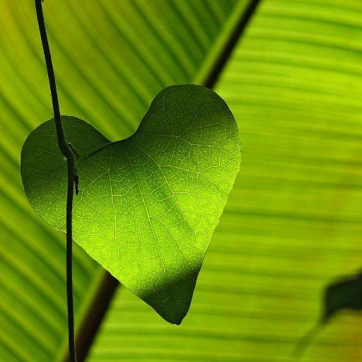 心にしみる言葉集 Heartheart Text Twitter 心にしみる言葉集 Heartheart Text Twitter