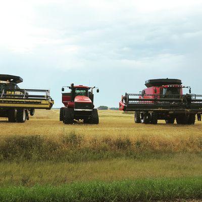 BurstTriickZ's profile picture. 