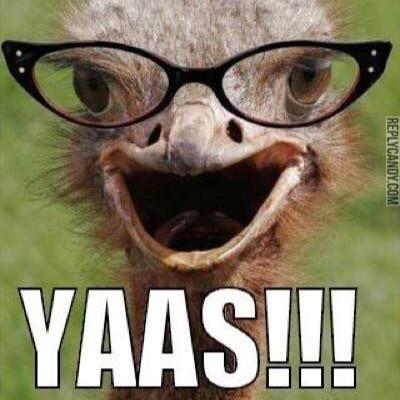 allmyaliases's profile picture. yaaaas henny