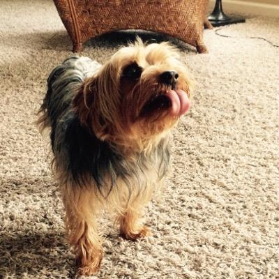 dreebyandcoacho's profile picture. 