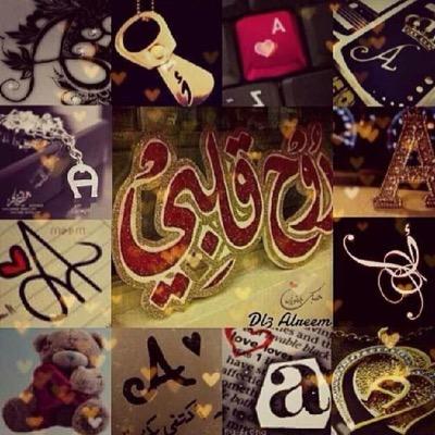 zozo_14088's profile picture. 