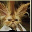 Thomas  Stallings - @fanguide36 - Twitter