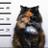 MsMeowshkiNYC's profile image