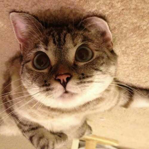 firdakd95's profile picture. bismillahirohmanirohim