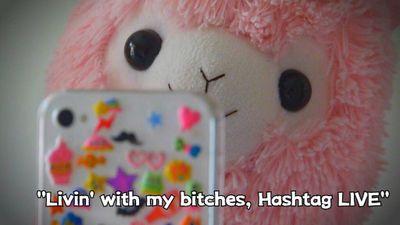 teoriafecunda's profile picture. 