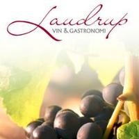 Laudrup Vin (@laudrupvin) 's Twitter Profile