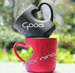 GcazaNomfusi's profile picture. mother