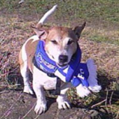 guide68's profile picture. pic is our charlie dog with his everton scarf