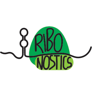 We are a team of undergraduate scientists developing a riboswitch to detect the presence of Mycobacterium bovis.