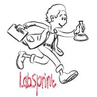 LabSprint FDV (@labsprintfdv) 's Twitter Profile