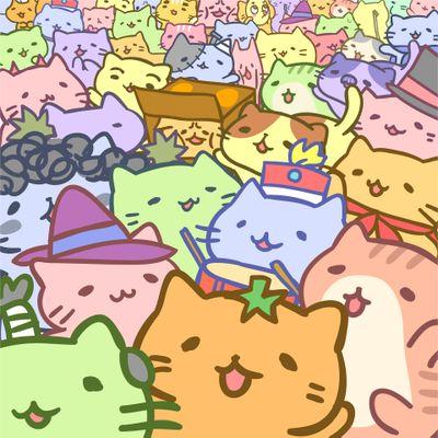 野良猫