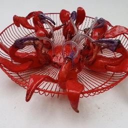 pleionexia's profile picture. Sometime ceramist, sometime entomologist