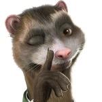 furet_06's profile picture. Sociable et joueur, je promène mon museau partout dans #slv06