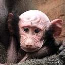 achyndesho's profile picture. I was the kid next door's imaginary friend.