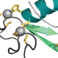 Structural biology lab @westernuBiochem. We use chemical biology techniques to examine signalling mechanisms of disease-causing proteins