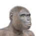 Dr Ardipithecus - proudly blue check free (@a_ramidus) Twitter profile photo Dr Ardipithecus - proudly blue check free (@a_ramidus) Twitter profile photo