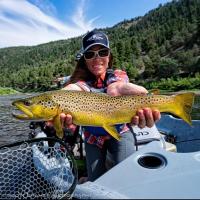 Katie Mazzia MS, RDN,CDCES (@vailrd) 's Twitter Profile