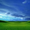 Our greatest glory is not in never falling, but in rising every time we fall.
