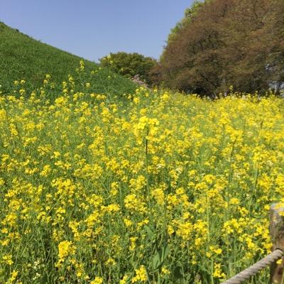 パッチワークキルト 編み物　山歩き 芸術鑑賞 パナソニックワイルドナイツ応援