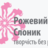 slonyk's profile image