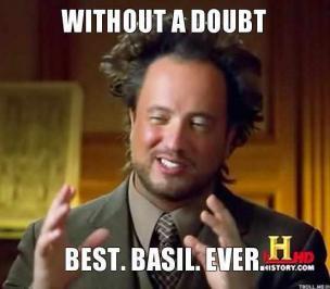 IIITRE's profile picture. Without a doubt Best. Basil. Ever.