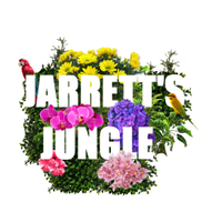 Jarretts Jungle(@JarrettsJungle) 's Twitter Profile Photo